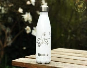 Personalised Dinosaur Water Bottle