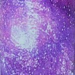 Purple Galaxy